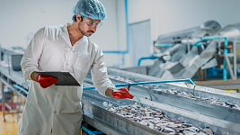 Fish defrosting automation by EKF